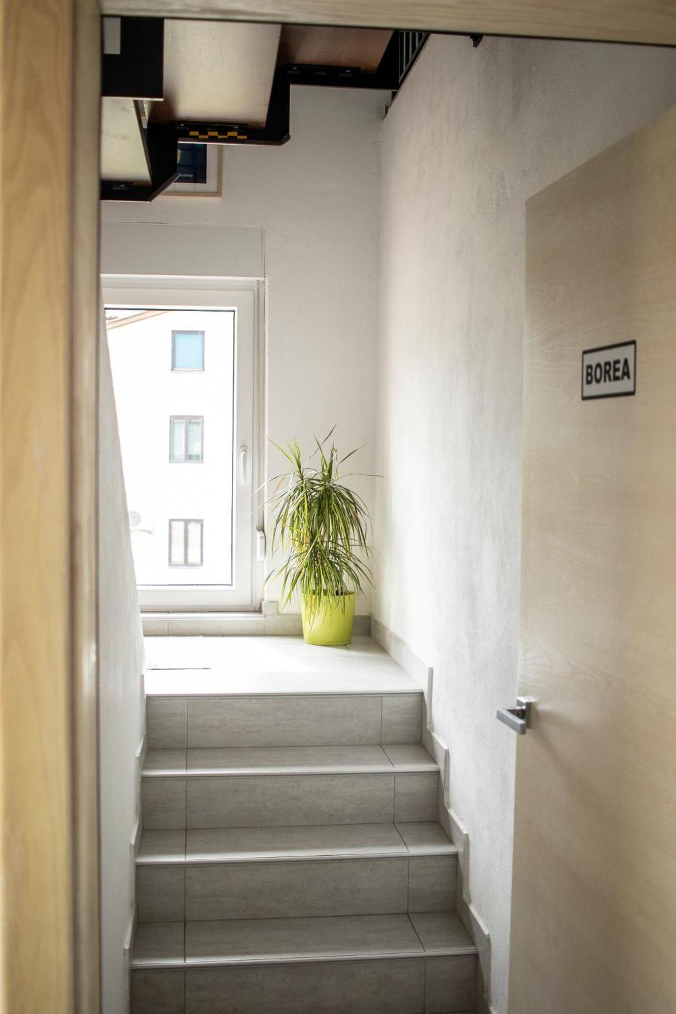Borea Rooms - Sobe Budanje Vipava Esterno foto